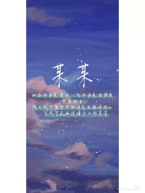 柠檬导航蓝导航凹凸